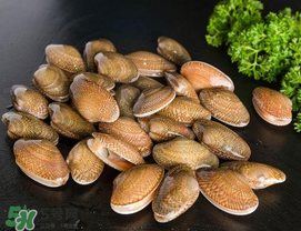 花甲為什么會(huì)苦？花甲有苦味什么原因？