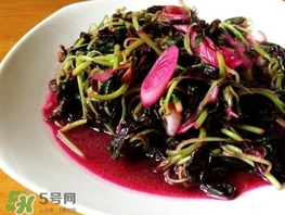 莧菜怎么摘？莧菜怎么處理