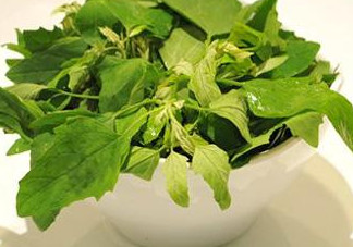 灰灰菜怎么吃？灰灰菜的吃法