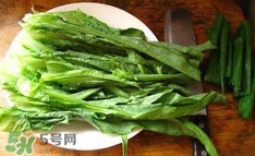 萵苣葉是什么？生菜是不是萵苣葉子