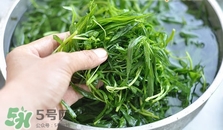 掃帚菜怎么做好吃？掃帚菜怎么吃好吃