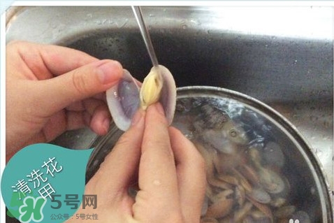 芒果螺怎么清洗？芒果螺怎么吃