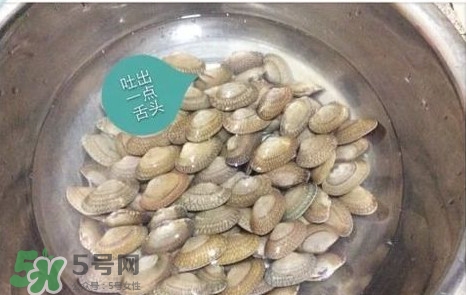 芒果螺怎么清洗？芒果螺怎么吃