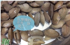 芒果螺怎么清洗？芒果螺怎么吃