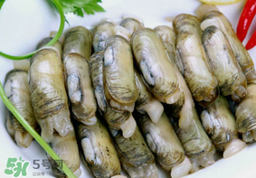 蟶子不能和什么一起吃？蟶子和什么不能一起吃？
