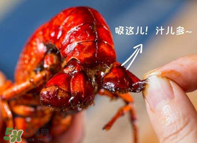 吃油燜大蝦會胖嗎？油燜大蝦的熱量是多少？