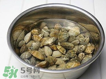 芒果螺孕婦能吃嗎？芒果螺孕婦可以吃嗎
