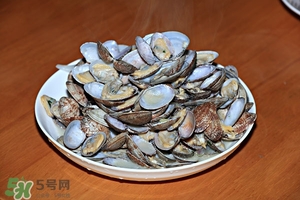 芒果螺怎么清洗？芒果螺怎么吃