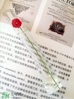 kenzo香水一枝花多少錢？kenzo一枝花香水怎么樣價格