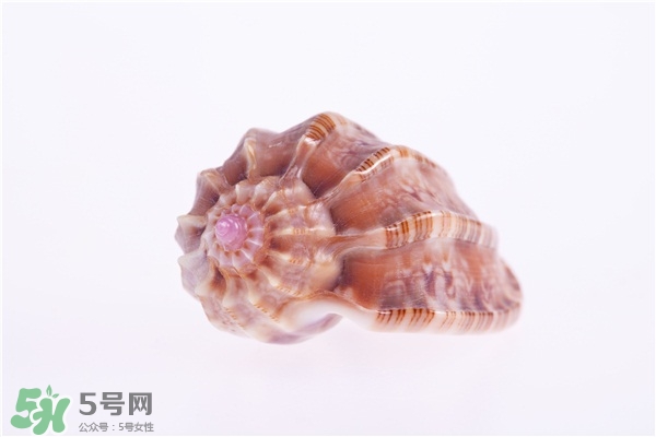 海螺的尾部能吃嗎？海螺的尾巴可以吃嗎
