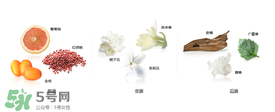 郎朗香水是什么牌子？郎朗香水是什么檔次？