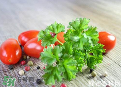 四月份可以種香菜嗎？四月份還能種香萊嗎？