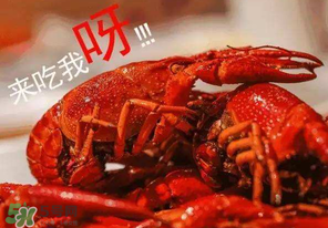 煮熟的小龍蝦隔夜能吃嗎？煮熟的小龍蝦能放多久？