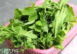 豌豆苗怎么做好吃？豌豆苗的做法