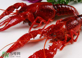 龍蝦發(fā)苦怎么回事？龍蝦發(fā)苦能吃嗎？