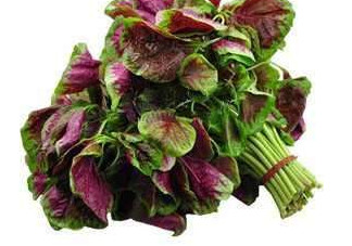 野莧菜能吃嗎？野莧菜圖片