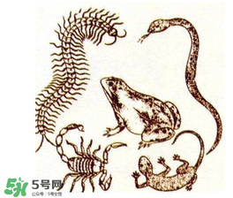 五毒日是哪幾天？2017年五毒日是哪幾天？