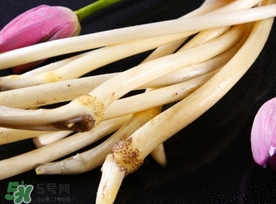 藕帶什么時候有？藕帶什么時候上市