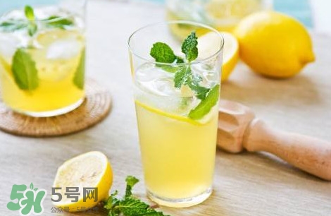 薄荷葉在哪兒買？新鮮的薄荷葉哪里買