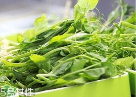 豌豆苗怎么做好吃？豌豆苗的做法