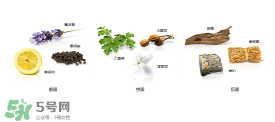 郎朗香水是什么牌子？郎朗香水是什么檔次？