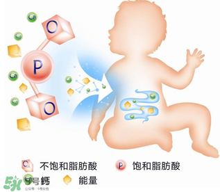 kabrita佳貝艾特羊奶粉怎么樣？kabrita佳貝艾特羊奶粉好不好？
