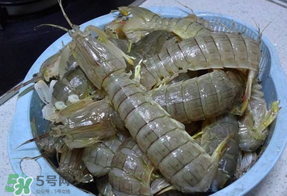 皮皮蝦死的怎么清洗？死的皮皮蝦怎么清洗？