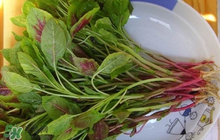 莧菜怎么洗？莧菜怎么擇