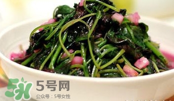 莧菜怎么洗？莧菜怎么擇