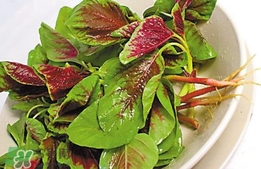 莧菜怎么吃？莧菜怎么炒