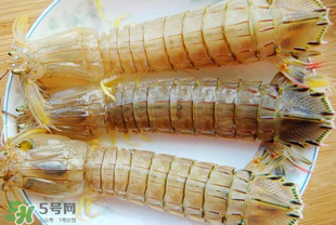 蝦爬子多少錢一斤？2017蝦爬子價(jià)格