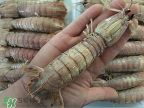 蝦爬子是蒸還是煮？蝦爬子蒸好還是煮好？