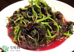 汗菜怎么炒？汗菜怎么吃