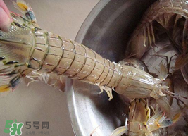皮皮蝦可以放冰箱嗎？皮皮蝦能放冰箱保存嗎？