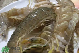 皮皮蝦可以放冰箱嗎？皮皮蝦能放冰箱保存嗎？