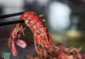 熟皮皮蝦隔夜還能吃嗎？煮熟的皮皮蝦隔夜能吃嗎？