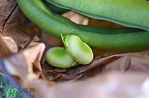 蠶豆可以放冰箱嗎？新鮮蠶豆可以放冰箱嗎？