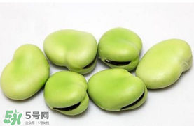 蠶豆可以放冰箱嗎？新鮮蠶豆可以放冰箱嗎？