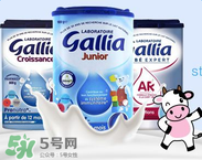 gallia佳利雅是什么品牌？gallia佳利雅奶粉是哪個(gè)國(guó)家的品牌？