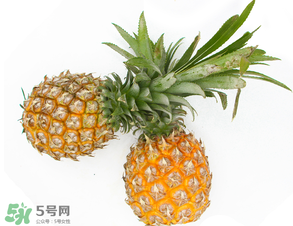 皮皮蝦和菠蘿能一起吃嗎？吃完皮皮蝦能吃菠蘿嗎？
