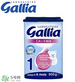 gallia佳利雅奶粉怎么沖？gallia佳利雅奶粉沖調(diào)方法？