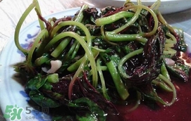 汗菜怎么摘？汗菜怎么擇