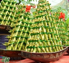 富貴竹有幾個(gè)品種？富貴竹有種子嗎？