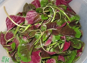 莧菜怎么洗？莧菜怎么擇