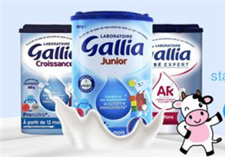 gallia佳利雅奶粉怎么沖？gallia佳利雅奶粉沖調(diào)方法？