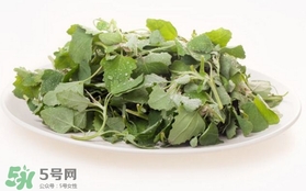 胃酸過多吃灰灰菜有好處嗎？胃酸過多能吃灰灰菜嗎