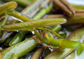 莼菜怎么做？莼菜怎么做好吃？