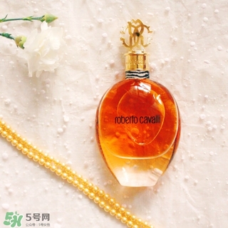 roberto cavalli是什么牌子？羅伯托卡沃利是幾線什么檔次？