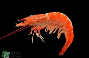 基圍蝦不能和什么一起吃？基圍蝦和什么不能一起吃？