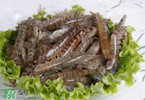 基圍蝦不能和什么一起吃？基圍蝦和什么不能一起吃？